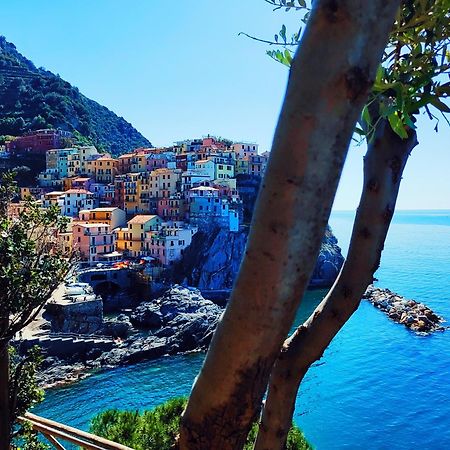 Casa Daisy Daire La Spezia Dış mekan fotoğraf