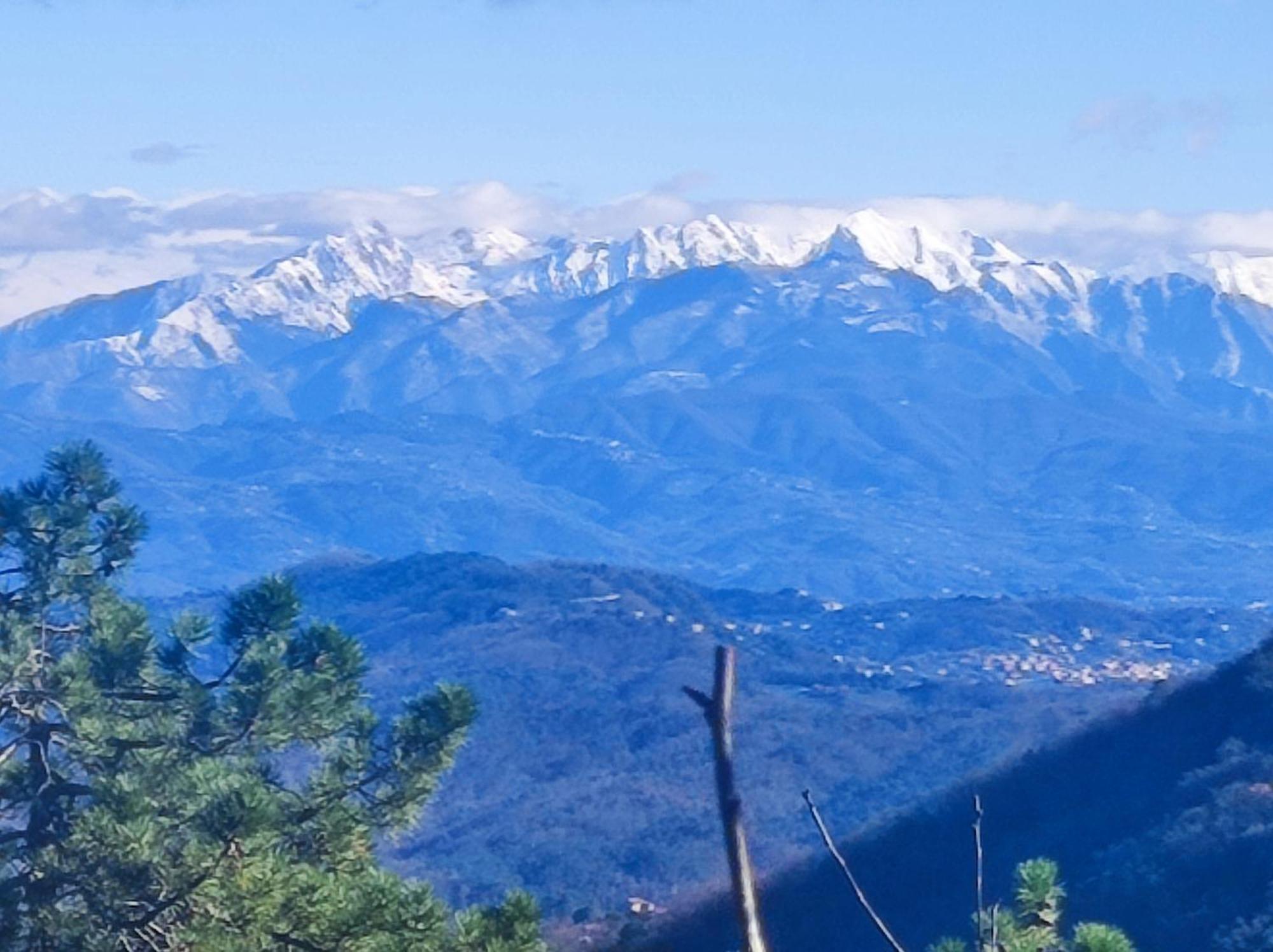 Casa Daisy Daire La Spezia Dış mekan fotoğraf