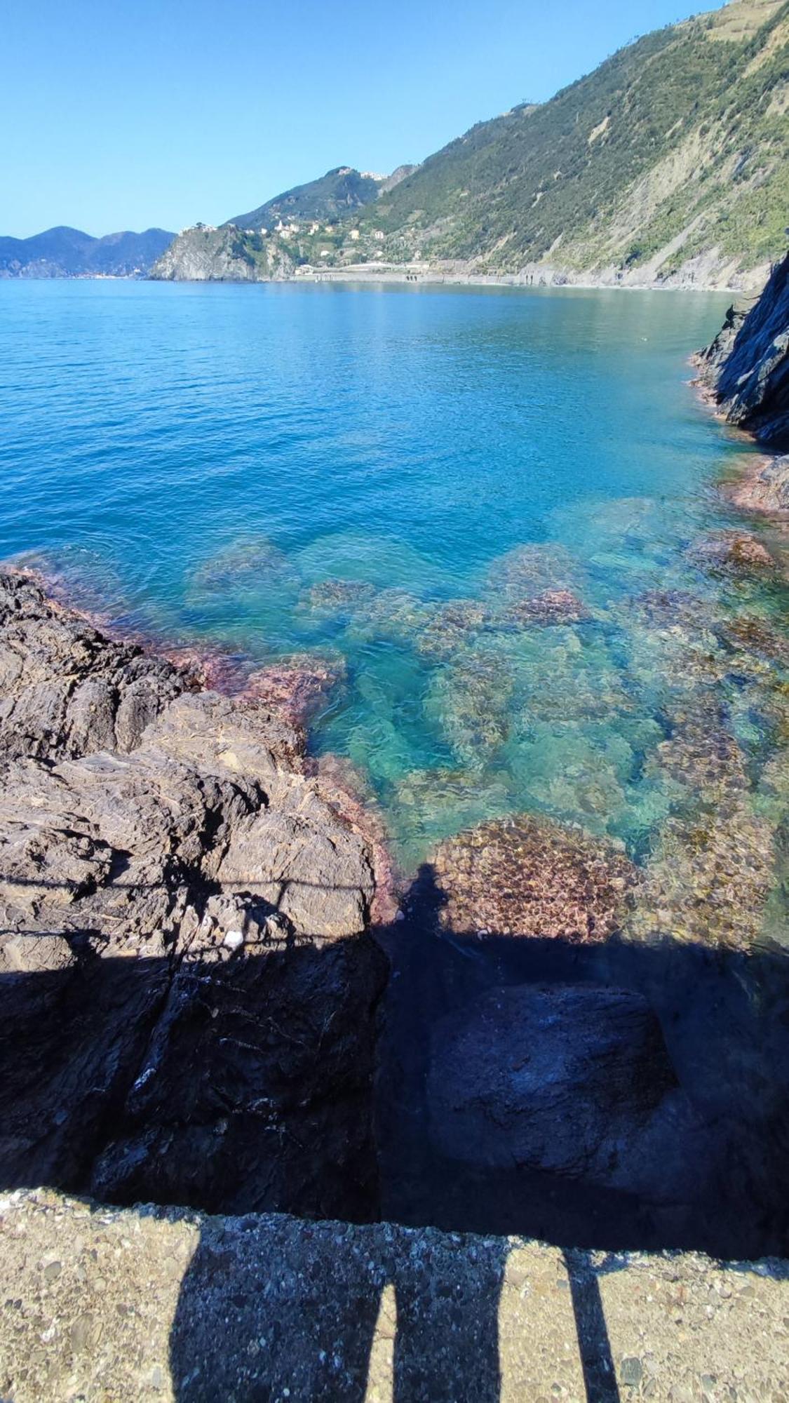 Casa Daisy Daire La Spezia Dış mekan fotoğraf